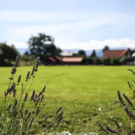 Apartament Skarpa