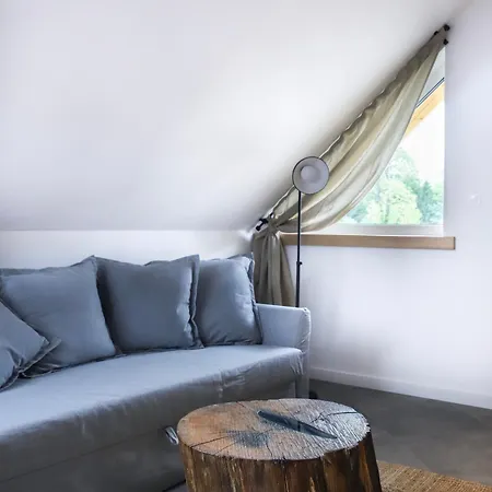Apartament Skarpa