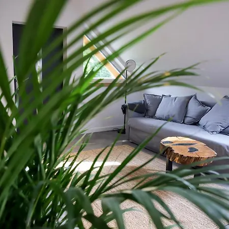Apartament Skarpa Mysłakowice