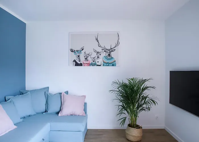 Skarpa * Mysłakowice